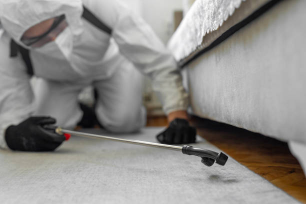 Professional Bed Bug Control technician working in Stuart, IA